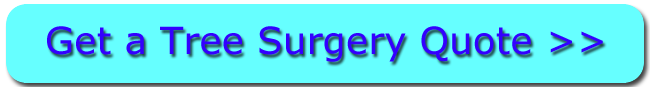 Click For Dover Tree Surgery Quotes