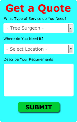 UK Tree Surgery Quotes
